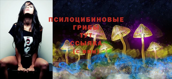 дживик Мегион
