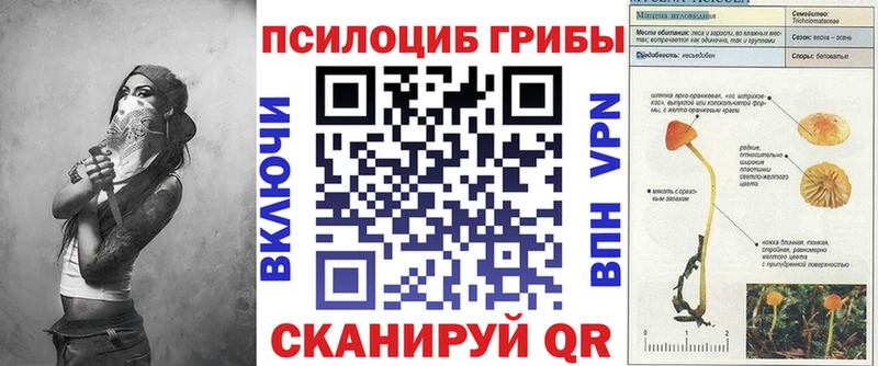 Псилоцибиновые грибы Magic Shrooms  Вельск 